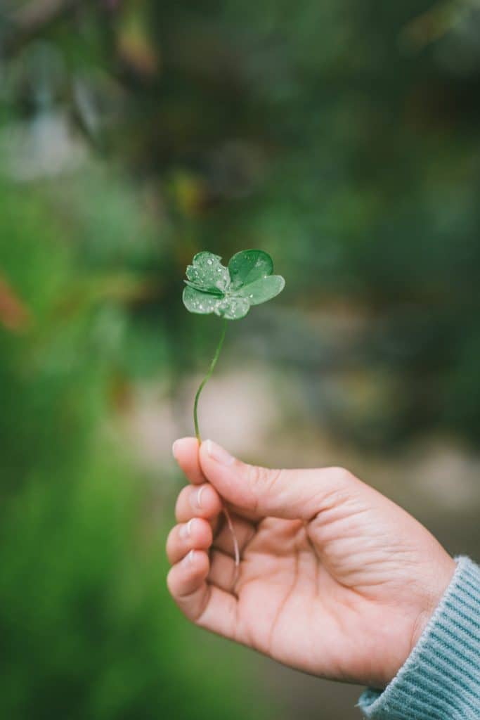 Harris vo tv 9embj1uk unsplash Harris vo tv 9embj1uk unsplash
